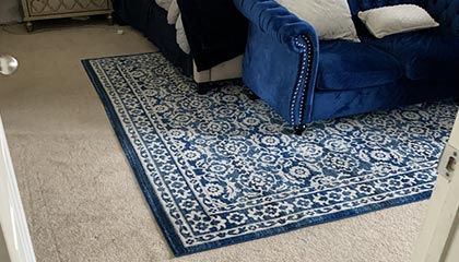 Oriental Rugs & Area Rug Cleaning Service